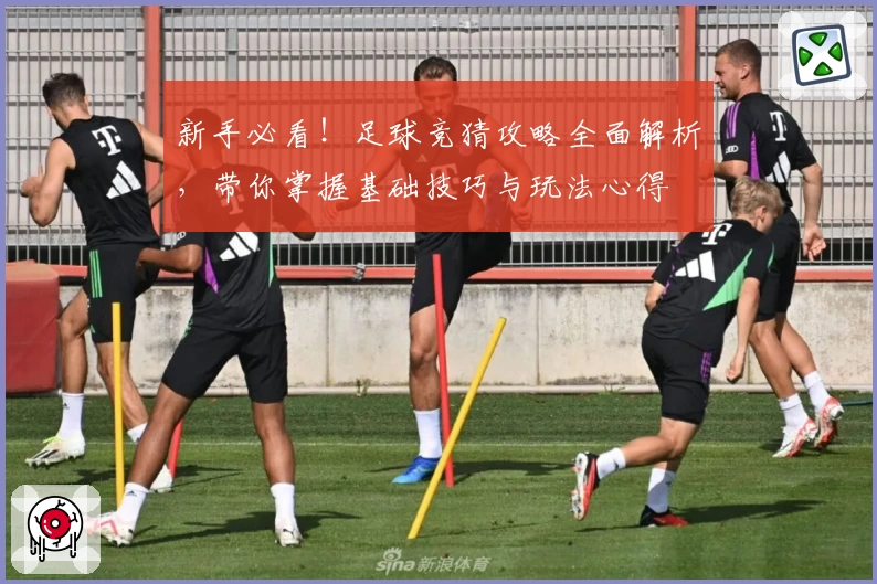 新手必看！足球竞猜攻略全面解析，带你掌握基础技巧与玩法心得